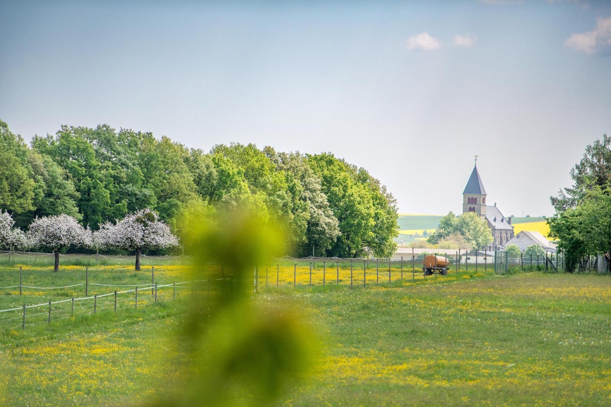 Waldesblick, Hotel-Restaurant Lahr  エクステリア 写真